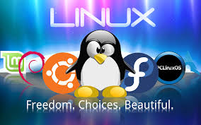 linux